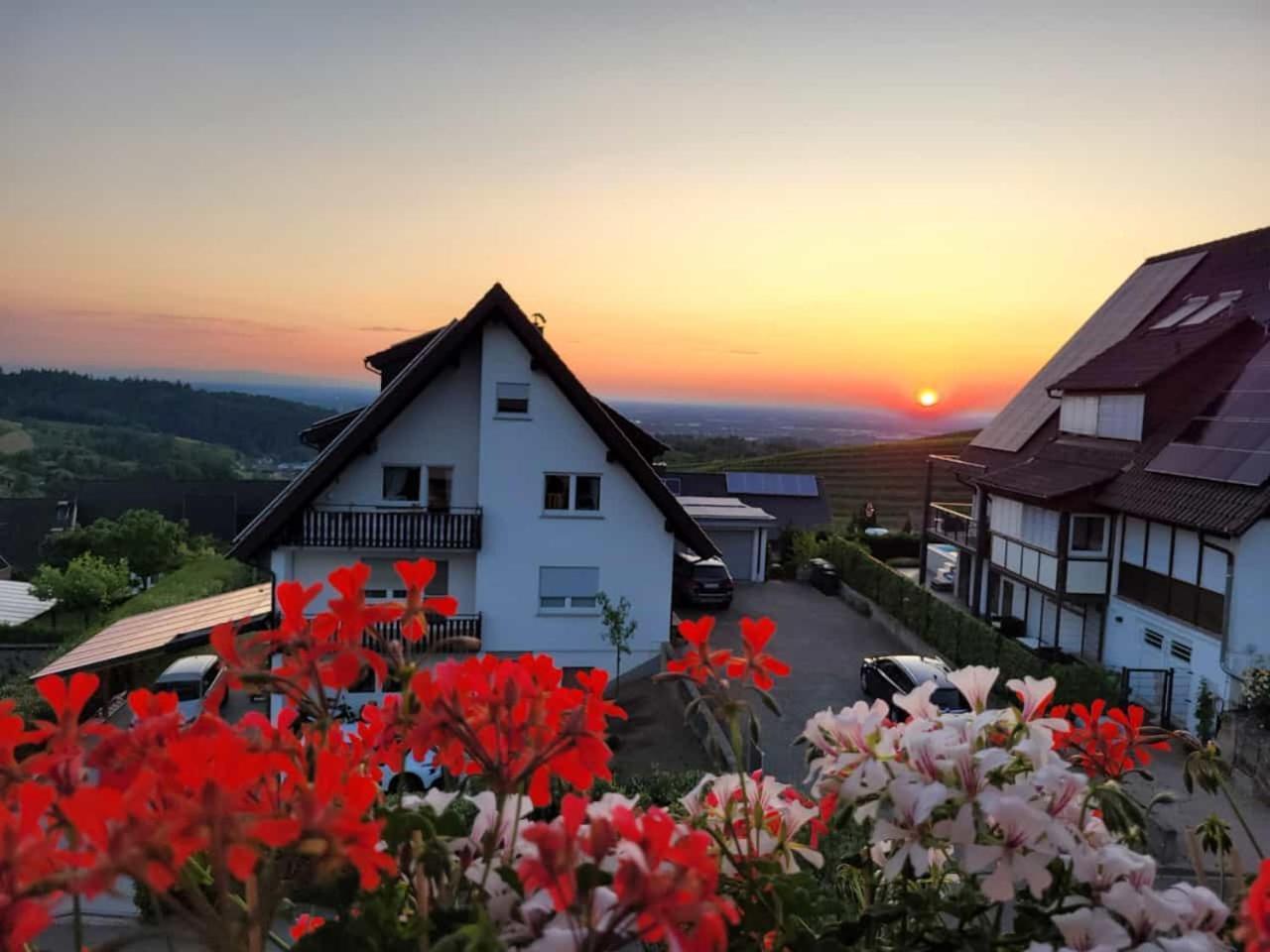 Renatas Ferienwohnung Isabel ซัสบาควัลเดิน ภายนอก รูปภาพ